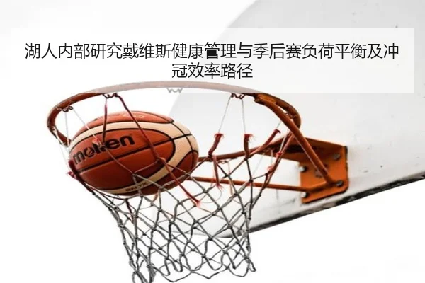 湖人内部研究戴维斯健康管理与季后赛负荷平衡及冲冠效率路径
